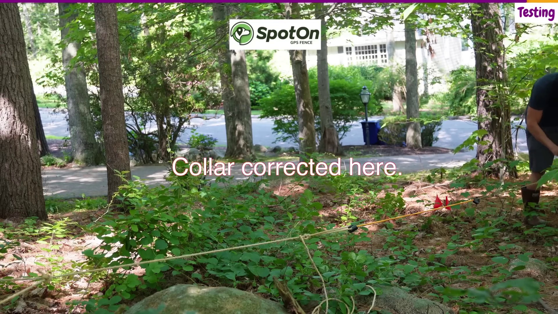 SpotOn GPS fence boundary testing under dense tree cover showing collar correction point marked with red flags near the rope boundary line