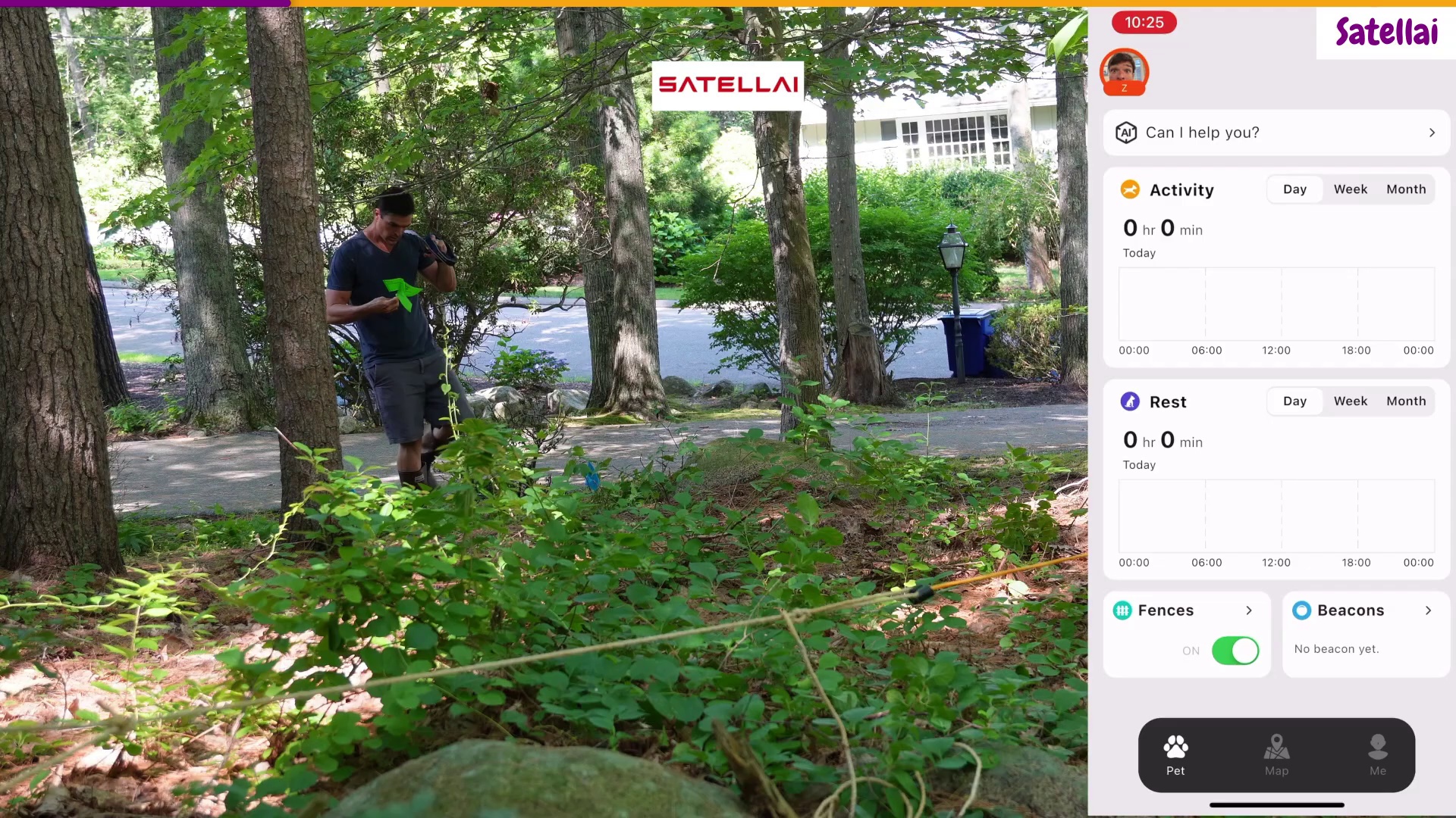 Satellai app showing Activity Rest Fences and Beacons panels alongside Zach testing the Satellai GPS collar at the boundary rope under dense tree cover