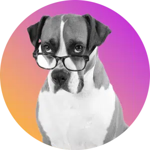 Dog with glasses