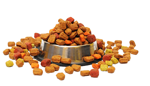 Dog food bowl overflowing with kibble