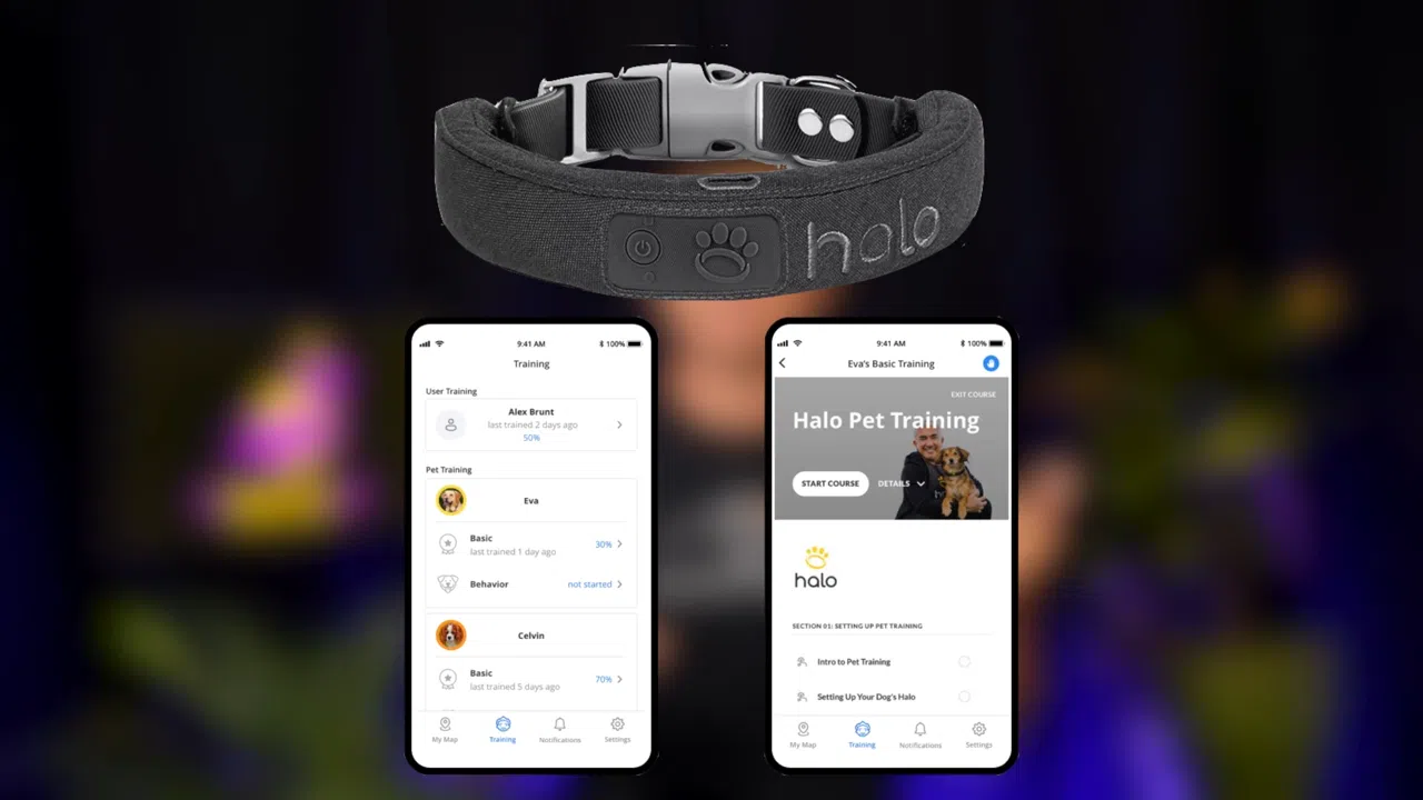 Halo Collar