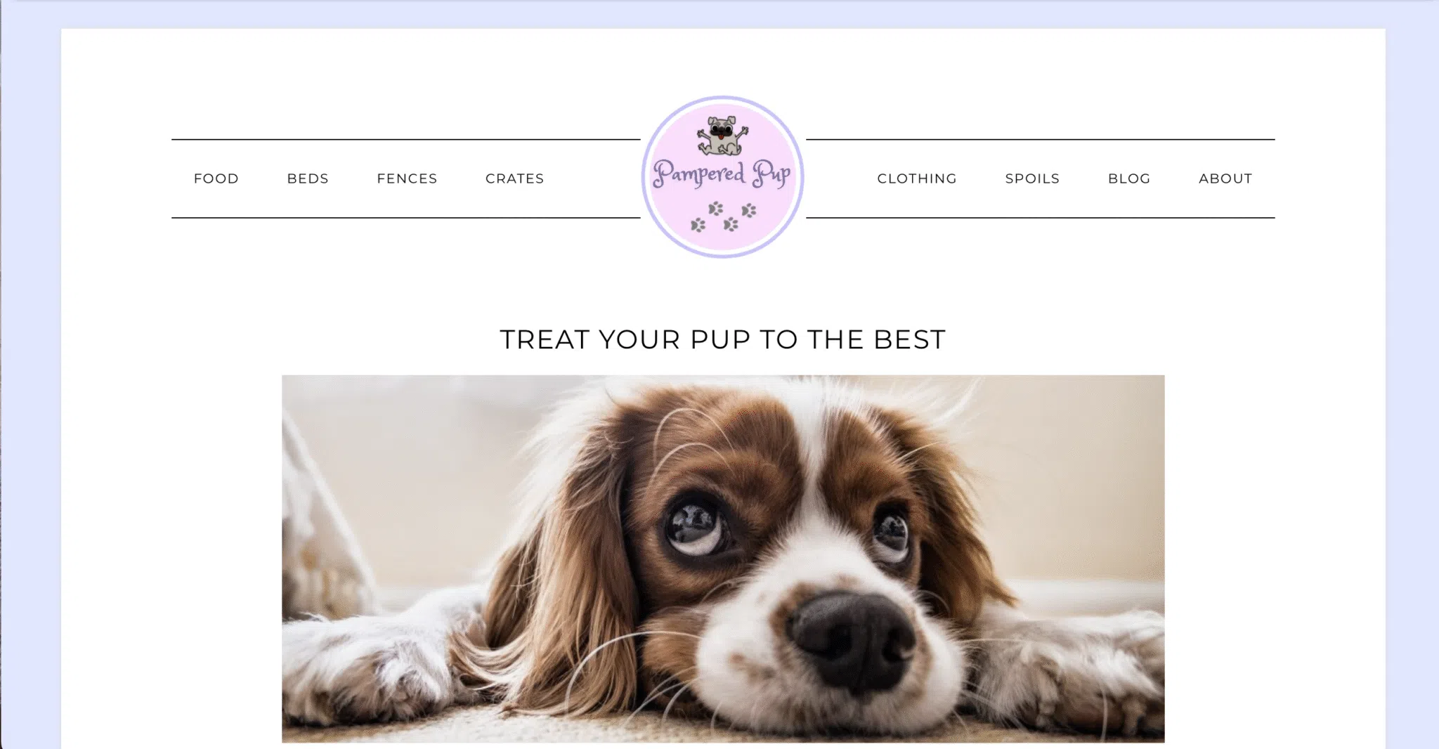 thepamperedpup.com homepage circa 2019