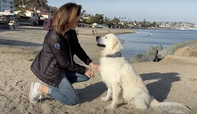 Kristen with Kona wearing SpotOn collar at the beach.