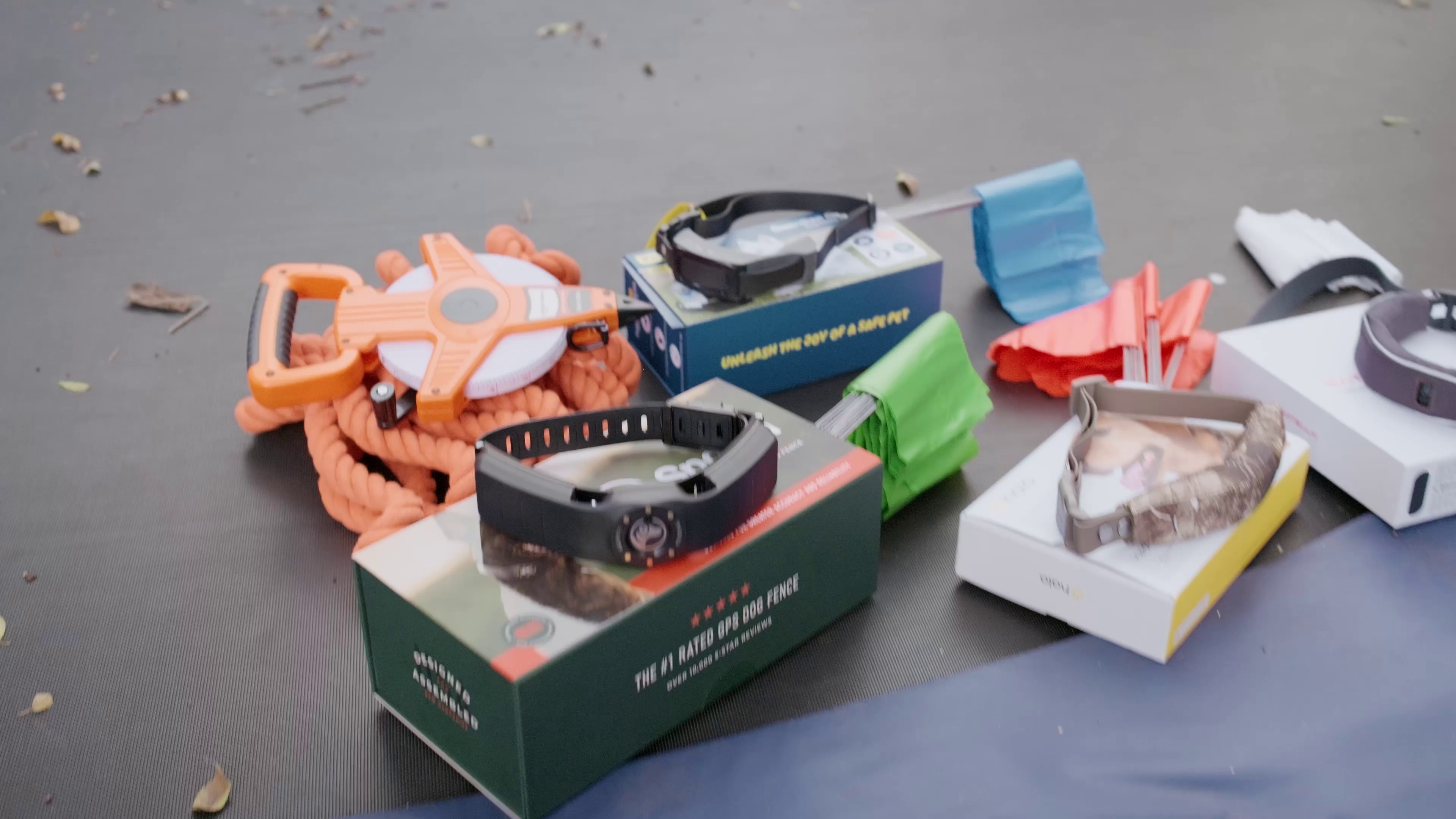 All four GPS fence collars laid out with boxes, tape measure, and colored flags before testing