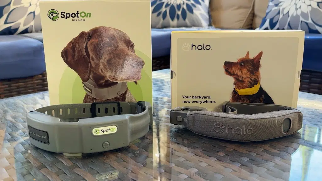 SpotOn and Halo side by side