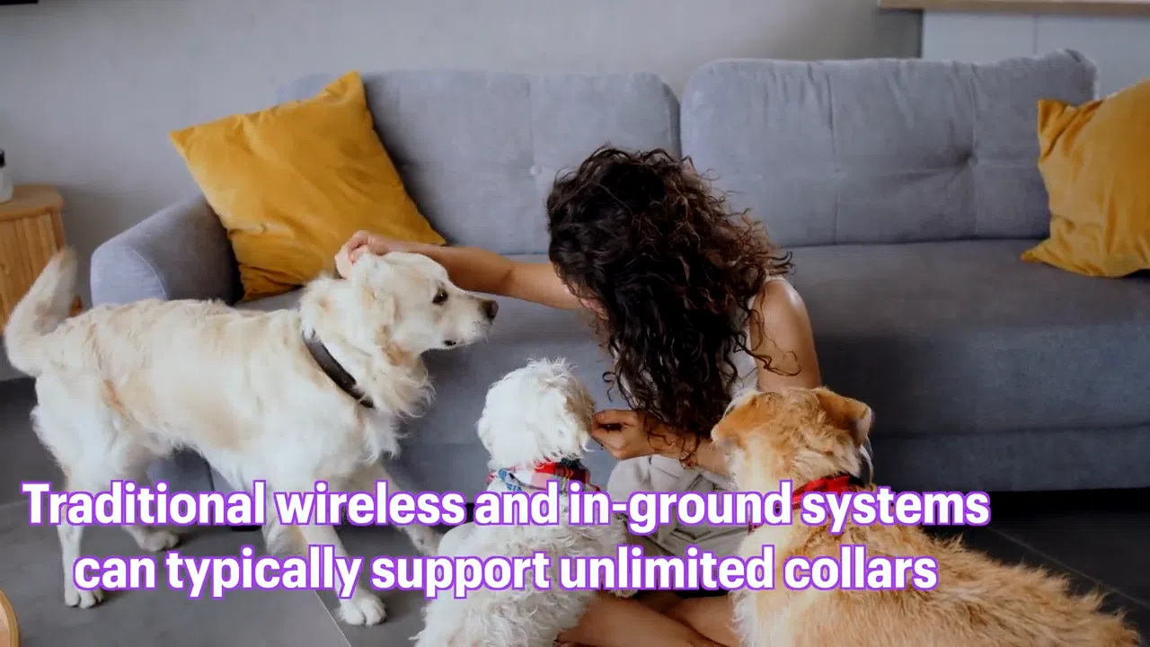 Traditional wireless systems and in-ground systems can typically support unlimited collars.