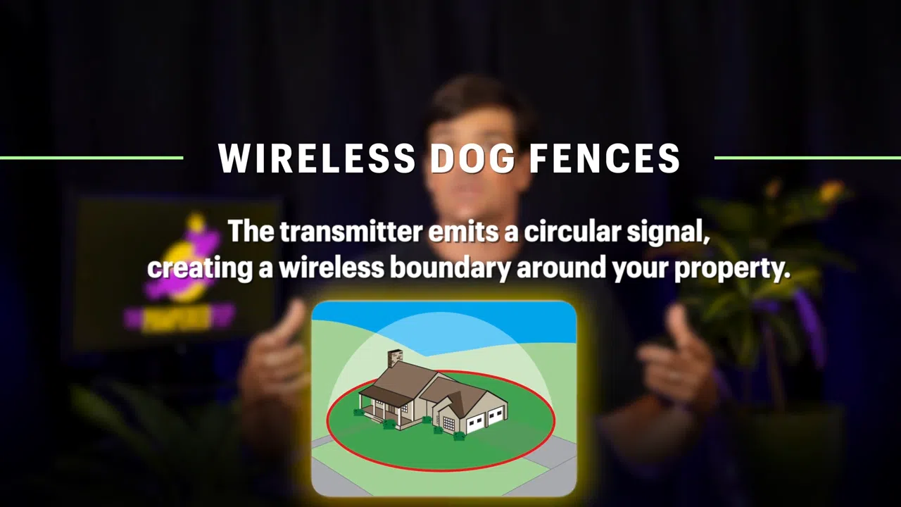 Wireless Dog Fence diagram