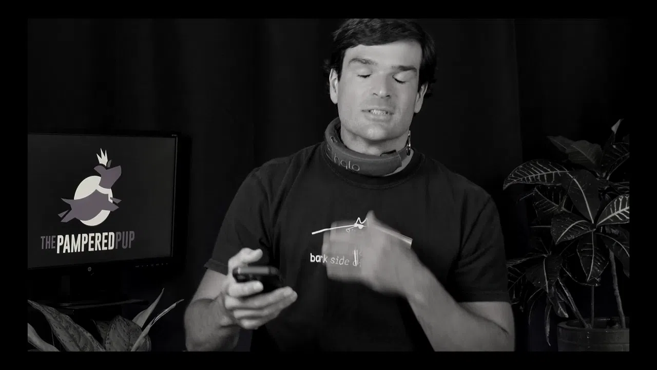 Invisible dog fence reviewer Zach Lovatt gets shocked by Halo Dog Collar during field test.