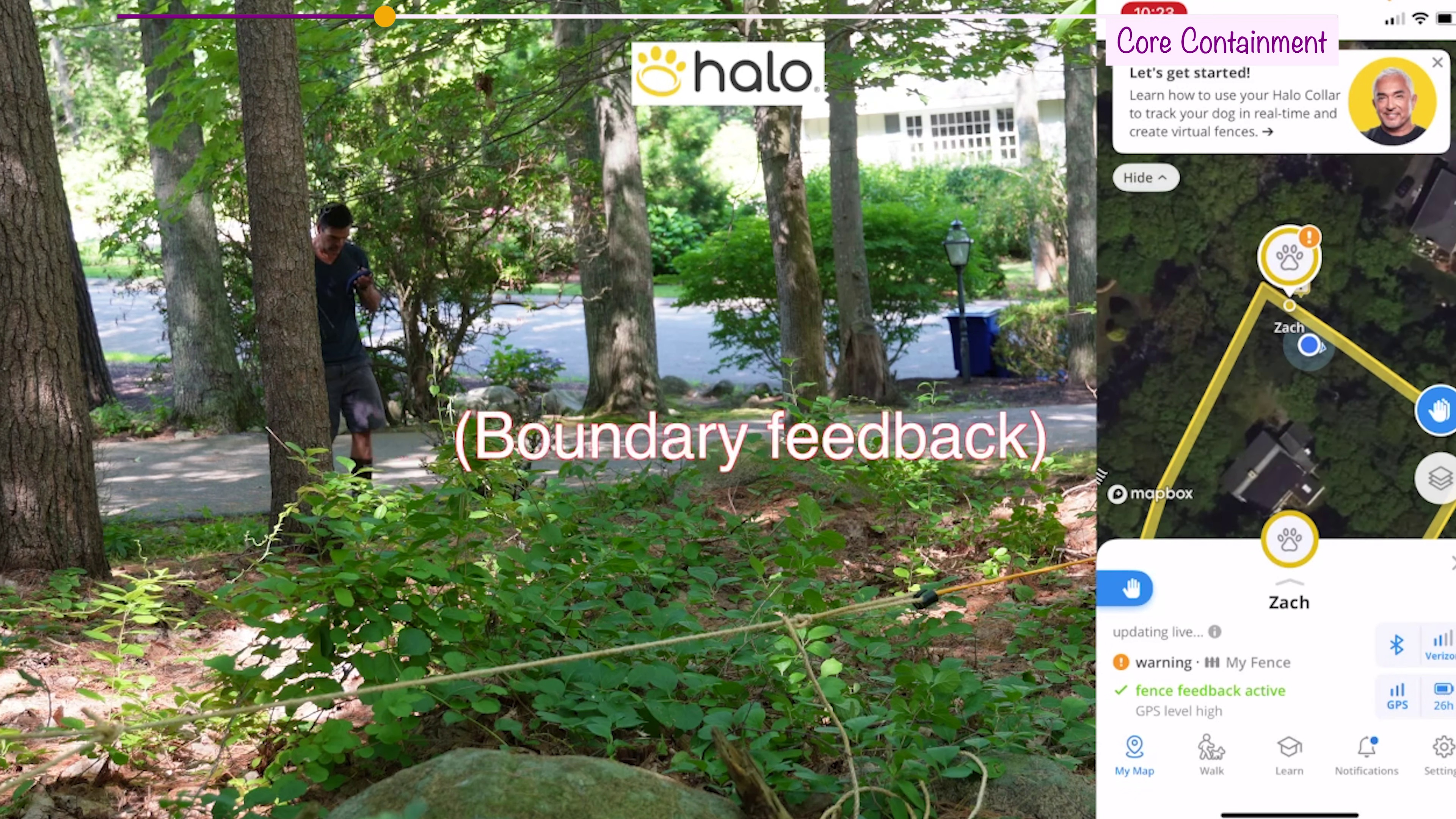 Zach testing Halo Collar boundary feedback accuracy under dense tree cover with the Halo app showing GPS tracking