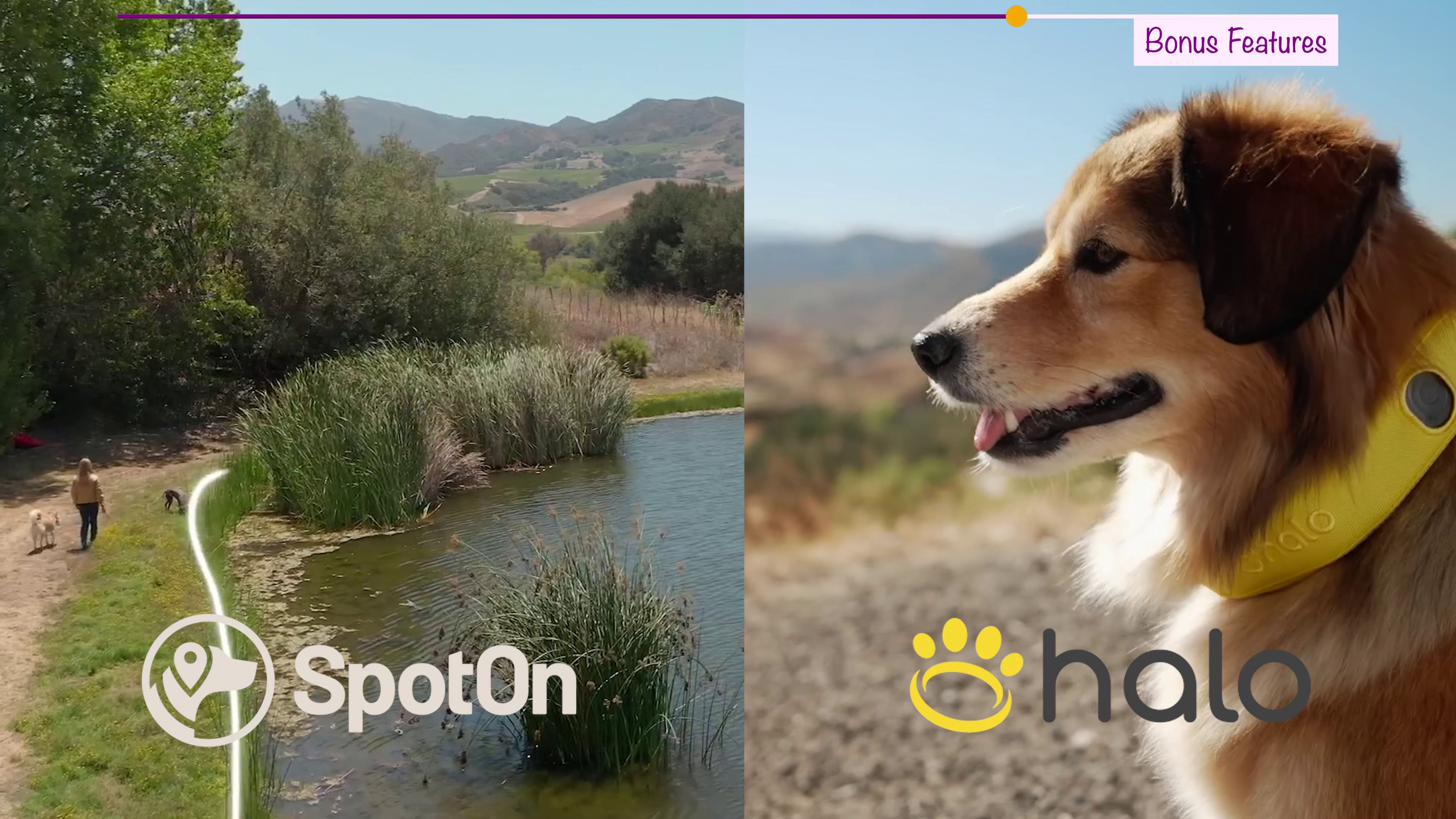 SpotOn GPS Fence and Halo Collar feature comparison — SpotOn focuses on boundary precision, Halo offers broader smart features
