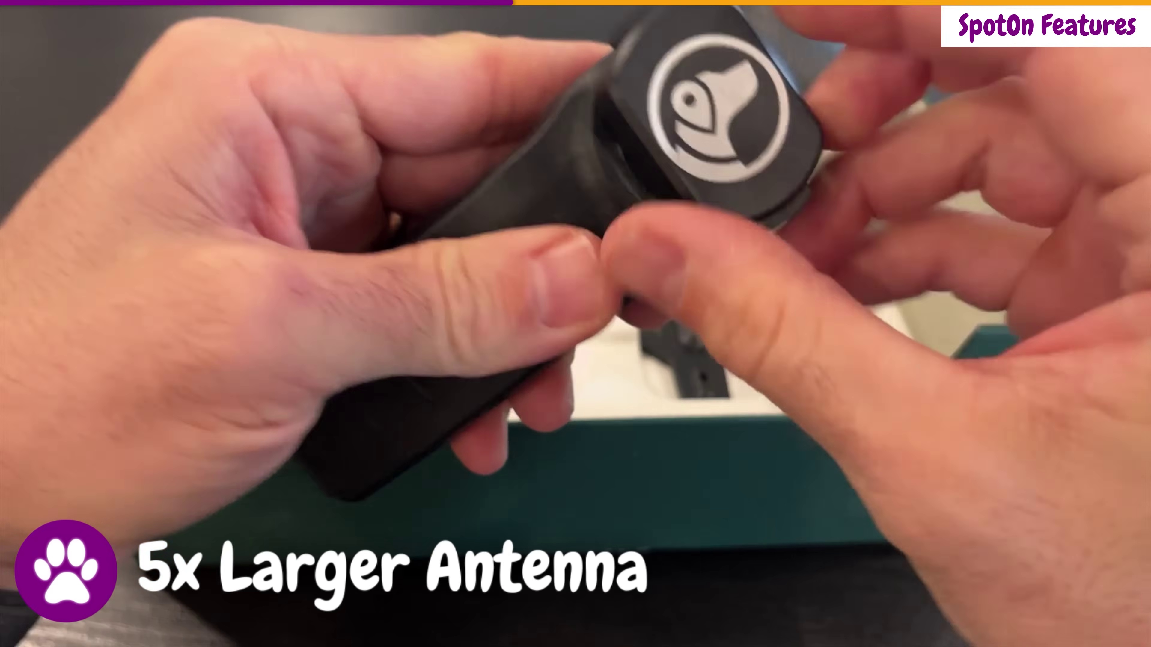 Close-up of the SpotOn Nova collar showing its larger GPS antenna compared to competitors